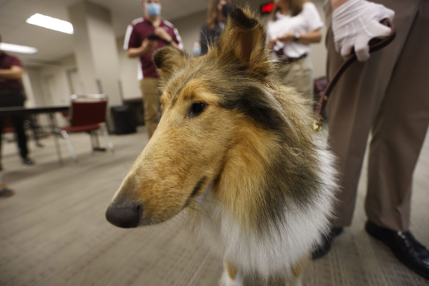 Reveille X